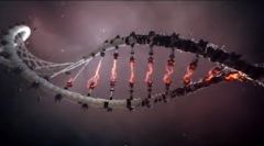 DNA merging
